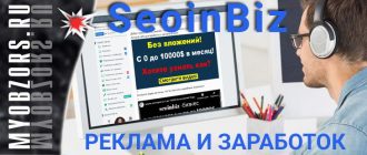 Вся правда о сервисе SeoinBiz